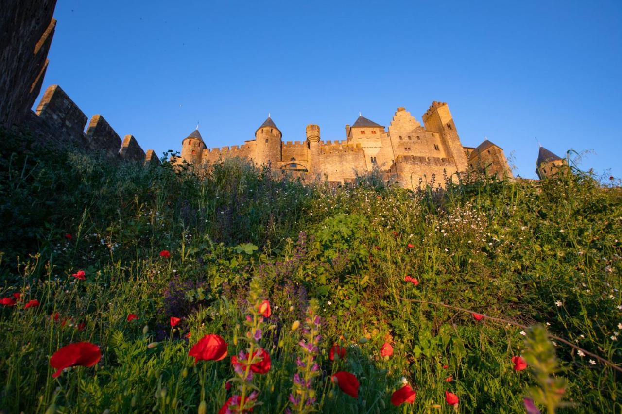 Tout Confort ! Calme, Climatisation, Vue Degagee, Ville ,Parking Gratuit, Ascenseur, Wifi Carcassonne Luaran gambar