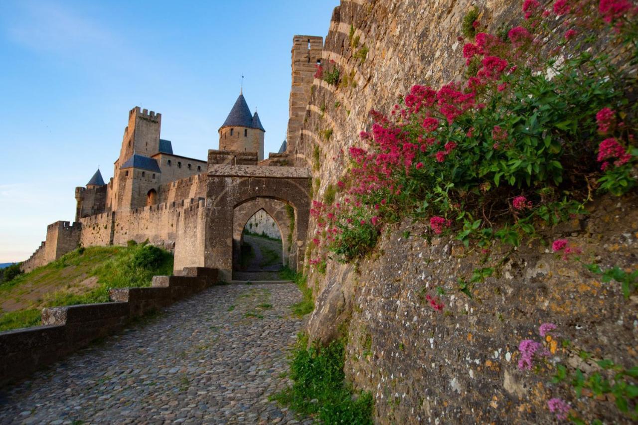 Tout Confort ! Calme, Climatisation, Vue Degagee, Ville ,Parking Gratuit, Ascenseur, Wifi Carcassonne Luaran gambar